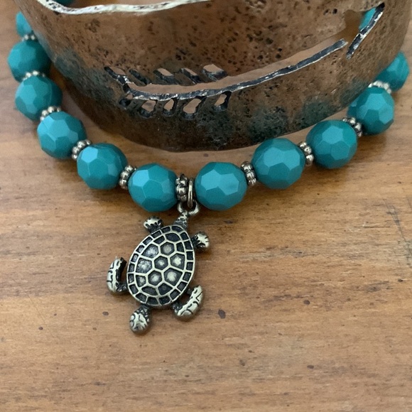 Turtle Lovers Unite! - Picture 4 of 4